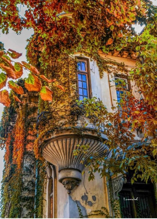 Charming Place Cotroceni ブカレスト エクステリア 写真